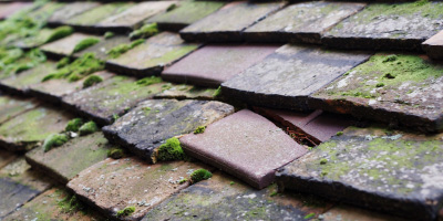 Preston Bissett roof repair costs